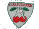 itsasuarrak